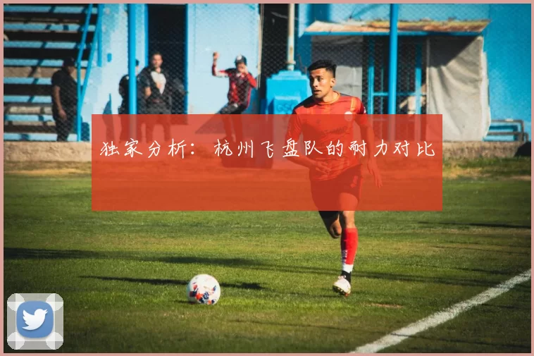 独家分析：杭州飞盘队的耐力对比