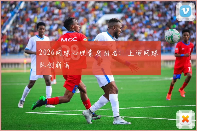 2026网球心理素质排名：上海网球队创新高