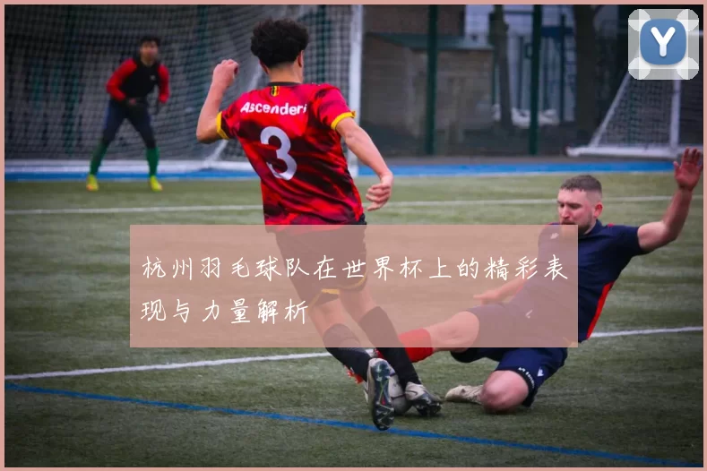 杭州羽毛球队在世界杯上的精彩表现与力量解析