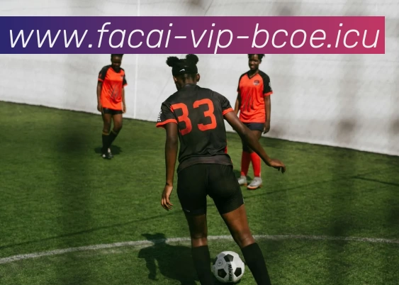 九游体育注册发展历程